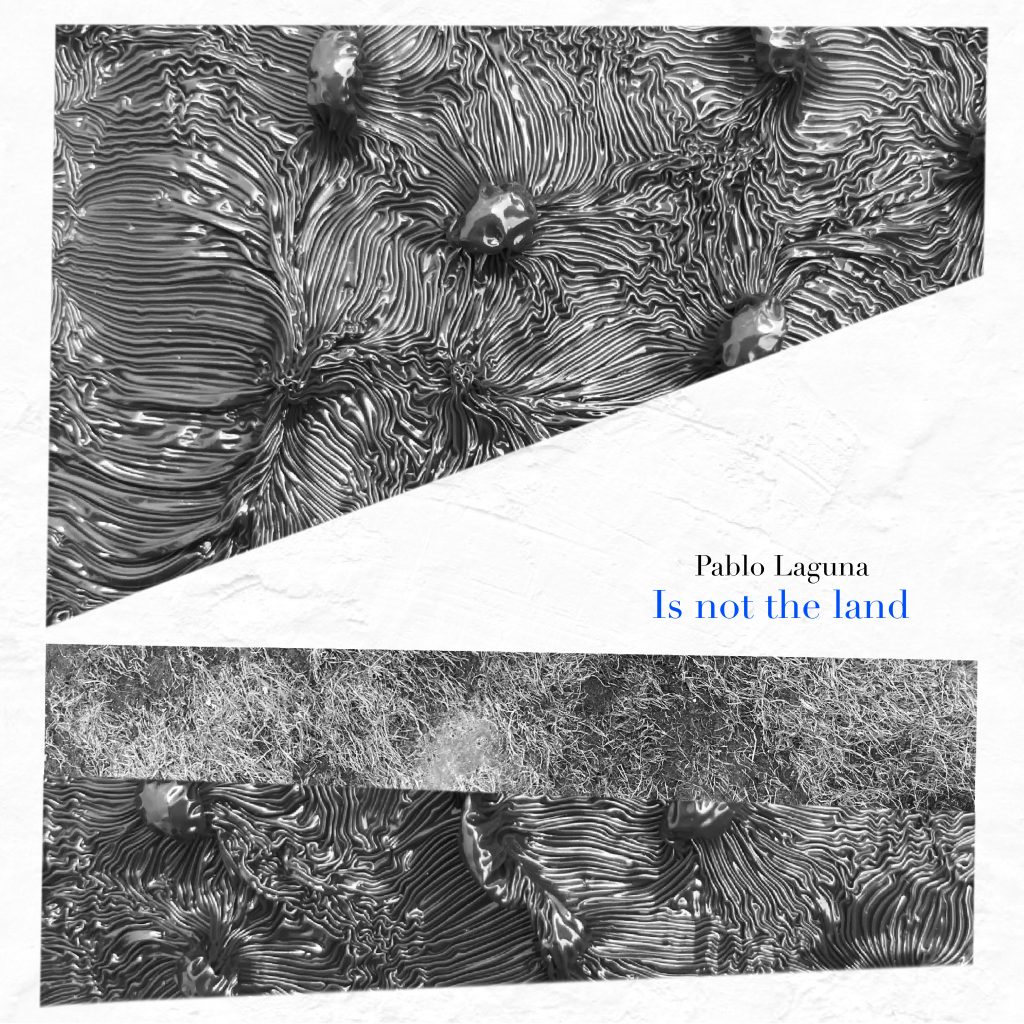 Is Not The Land - Pablo Laguna